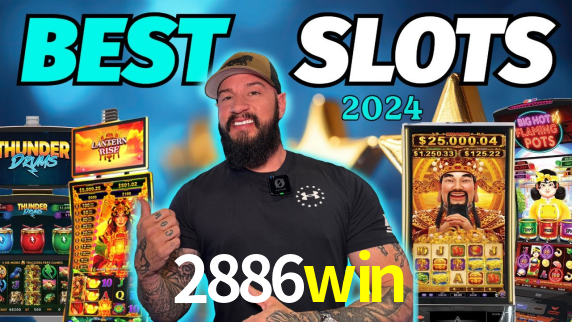 2886win App Interface